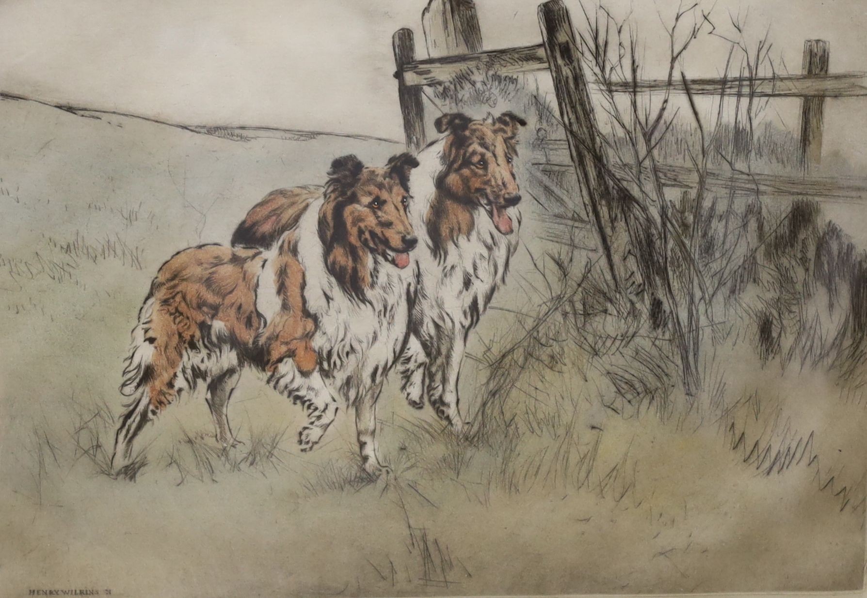 Henry Wilkinson (1921-2011), coloured drypoint etching, 'Rough Collies', signed in pencil, 16/250, 24 x 34cm